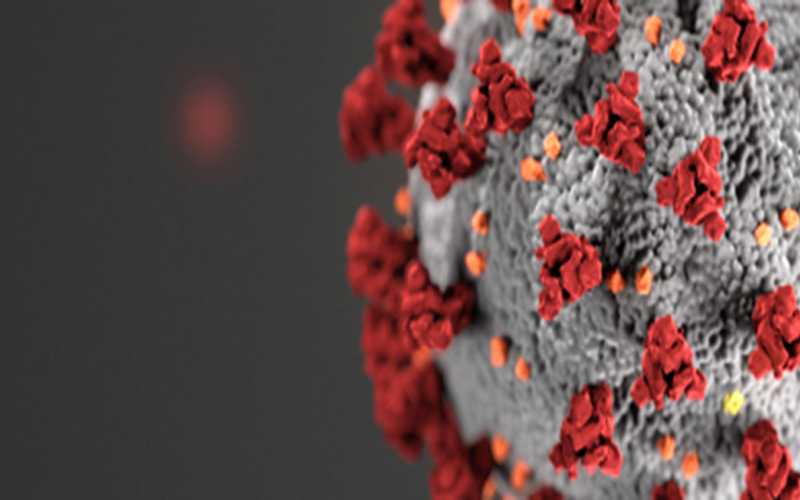 Re-Opening Our Rinks