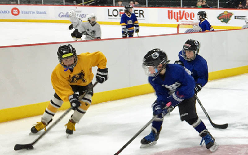 Hard Ice Dividers Enhance On-Ice Experience